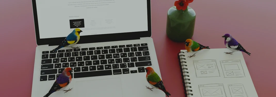 Kant-en-klare website laten maken inclusief teksten en afbeeldingen